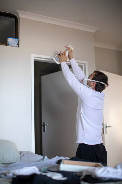 Best Mold Damage Restoration  in Kean University, NJ