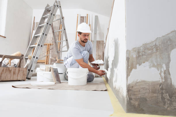 Best Mold Odor Removal Services  in Kean University, NJ